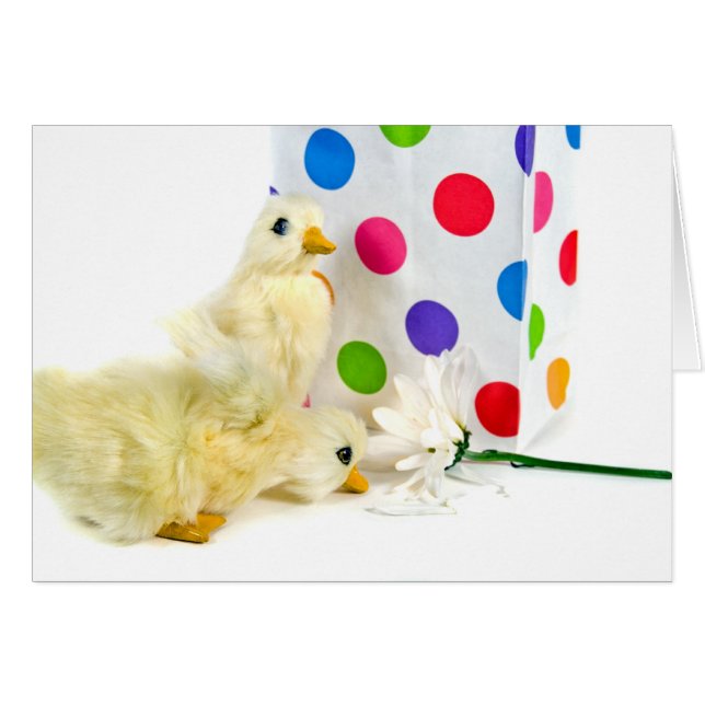 Cartão Pontos, Patos e Margarida (Frente Horizontal)