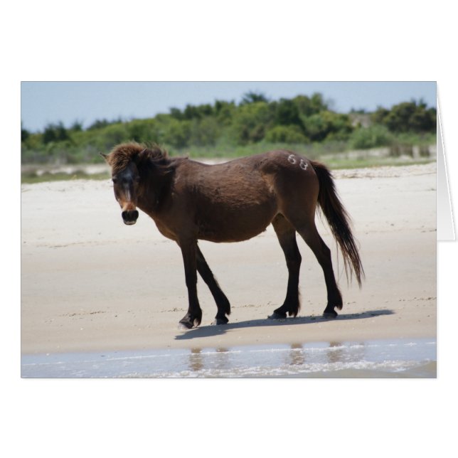 Cartão Pony a cargo (Frente Horizontal)