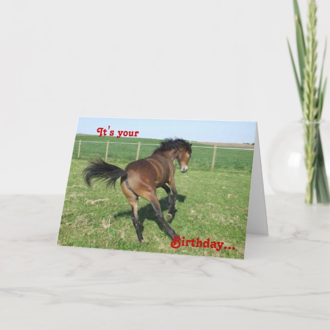 Cartão Pony Birthday Card (Frente)