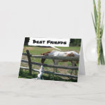 CARTÃO PONY/PUP BEST FRIENDS LIKE US "TWIN" BIRTHDAY<br><div class="desc">WHAT A FUN WAY TO SAY "HAPPY BIRTHDAY TO YOUR TWIN" WITH THIS CARD'S PUP AND PONY!</div>