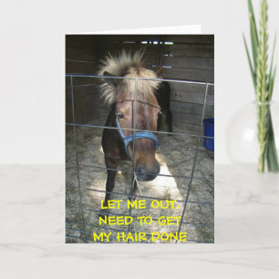 CARTÃO PONY WITH HAIR DELEMA=CARTÃO DE ANIVERSÁRIO