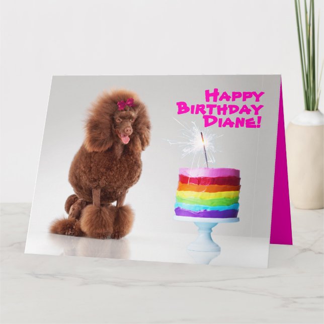 Cartão Poodle and Rainbow Cake with Sparkler Birthday (Frente)