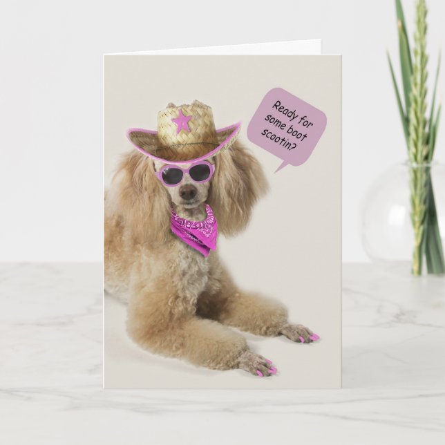 Cartão Poodle Birthday Card por Foco para uma Causa (Frente)