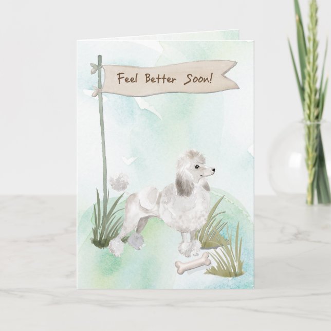 Cartão Poodle Branca Sente-Se Melhor Após Cirurgia com Cã (Frente)