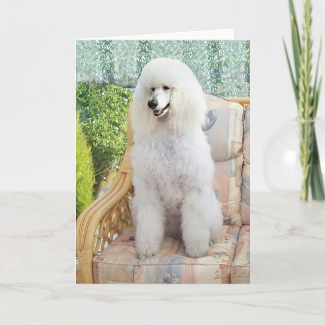 Cartão Poodle Branco (Frente)