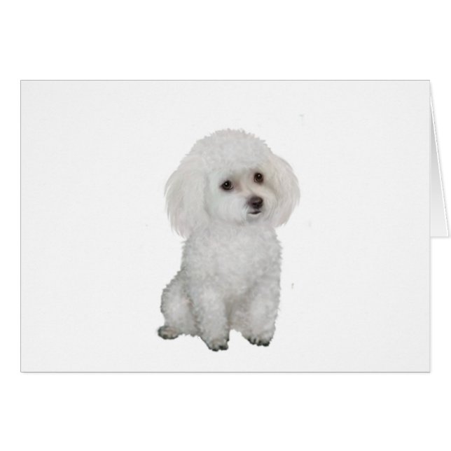 Cartão Poodle - branco 1 (Frente Horizontal)