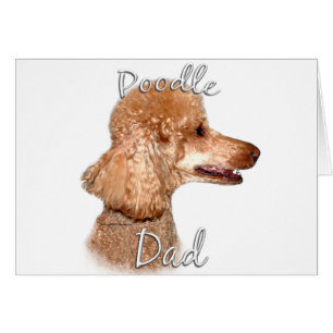 Cartão Poodle (damasco) Pai 2