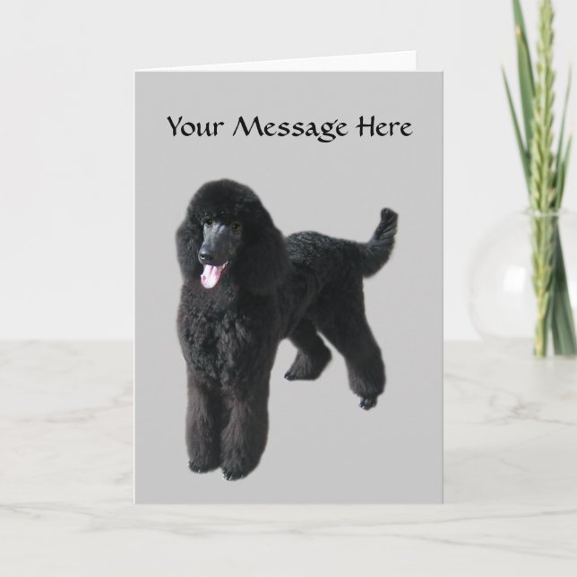 Cartão Poodle Greeting Card (Frente)