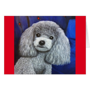 Cartão Poodle Miniatura