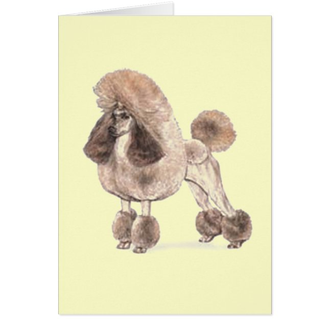 Cartão Poodle - Mostrar Casaco (Frente)