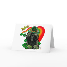 Poodle St Patricks Day