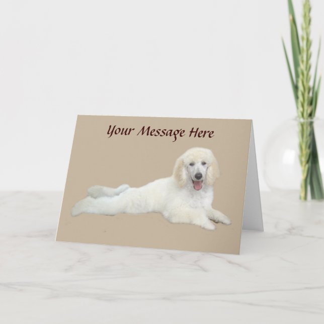Cartão Poodle White Beautiful Greeting Card (Frente)