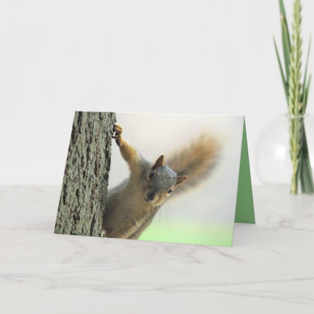 Cartão Poof (Frente)