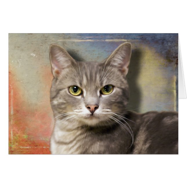 Cartão Pookie, o Gato da Cinza (Frente Horizontal)