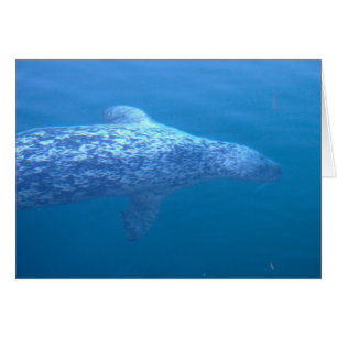 Cartão Popeye o selo