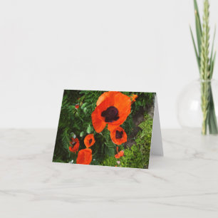 Cartão Poppies Vazio Floral