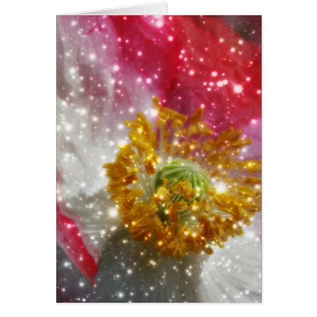 Cartão Poppy brilhante (Frente)