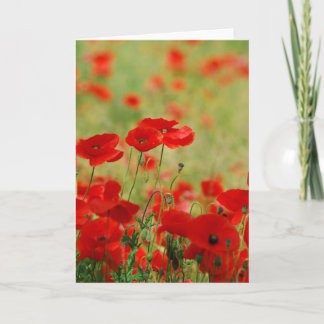 Cartão Poppy Greetings Card