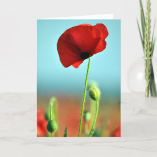 Cartão Poppy Greetings Card