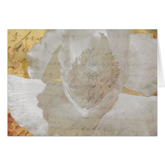 Cartão Poppy Sepia Todas as Ocasiões Vazio Saudação (Frente Horizontal)