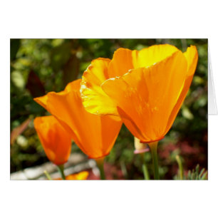 Cartão Poppy Trio