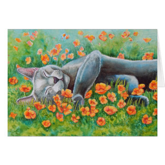 Cartão Poppy's Poppies