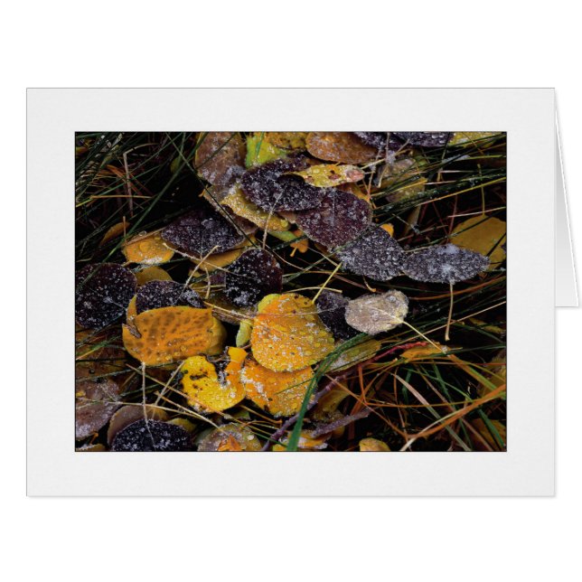 Cartão "Popsicles da Natureza" (Frente horizontal)