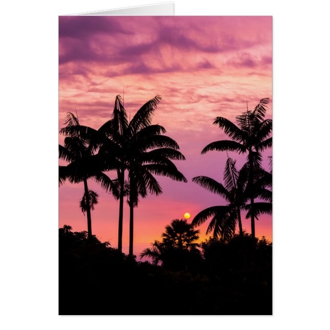 Cartão Pôr do sol através das Palmeiras (Frente)