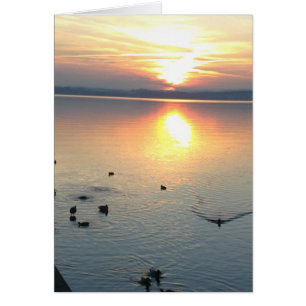 Cartão Pôr do sol com patos no lago, cartão, em branco