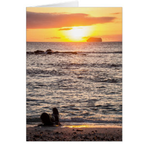 Cartão Por do sol da ilhota de Mosquera