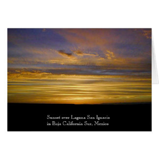 Cartão Por do sol da lagoa de San Ignacio
