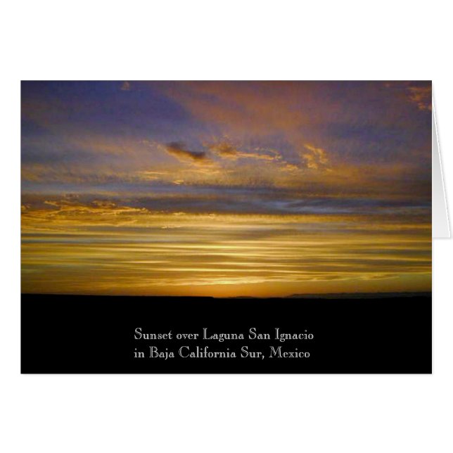 Cartão Por do sol da lagoa de San Ignacio (Frente Horizontal)