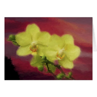 Cartão Por do sol da orquídea