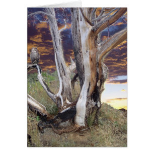 Cartão Por do sol de Colorado