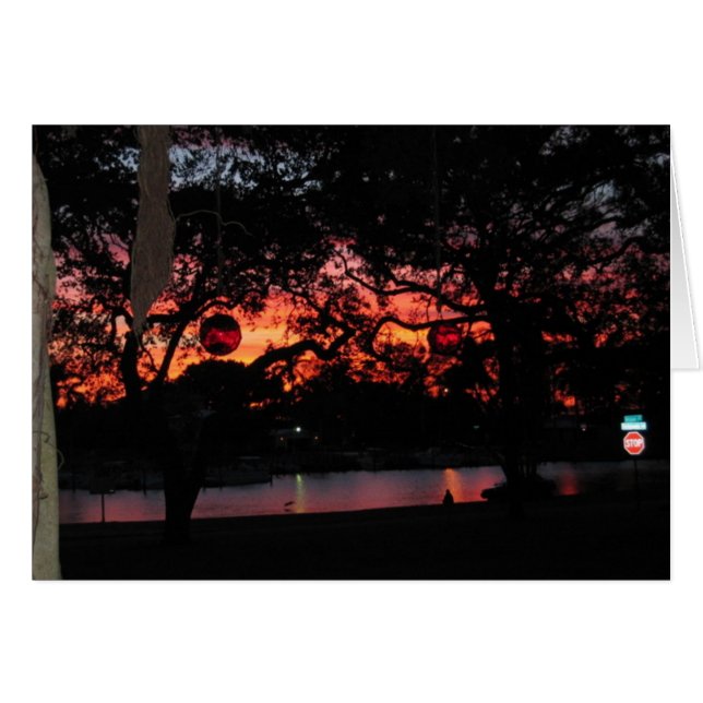 Cartão Por do sol de Florida (Frente Horizontal)