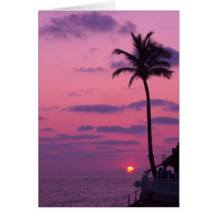Cartão Por do sol de Shephards, Clearwater, Fl.