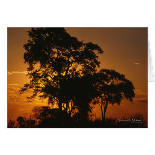 Cartão Pôr do sol em Savannah
