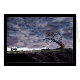 Cartão Por do sol indiano