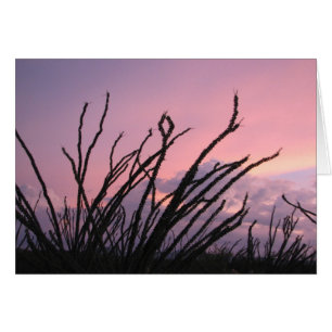 Cartão Por do sol nas lavandas