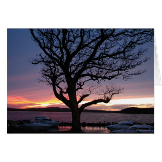 Cartão Pôr do sol no porto