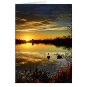 Cartão Por do sol sonhador