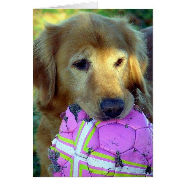 Cartão Por Favor, Brinque Comigo (Frente)