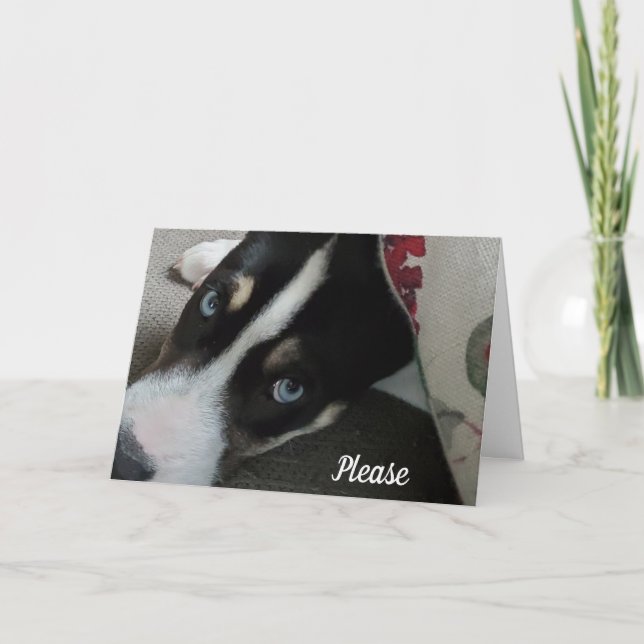 Cartão Por favor, não fique bravo comigo, sinto muito (Frente)