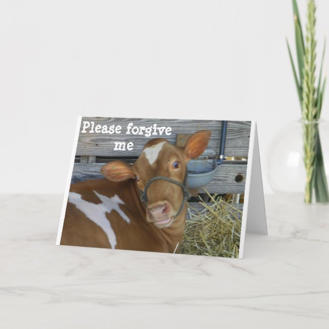 CARTÃO "POR FAVOR" PERDOE-ME POR ESQUECER O SEU ANIVERSÁR (Frente)