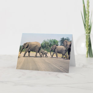 Cartão Por que o elefante atravessou a estrada? (2)
