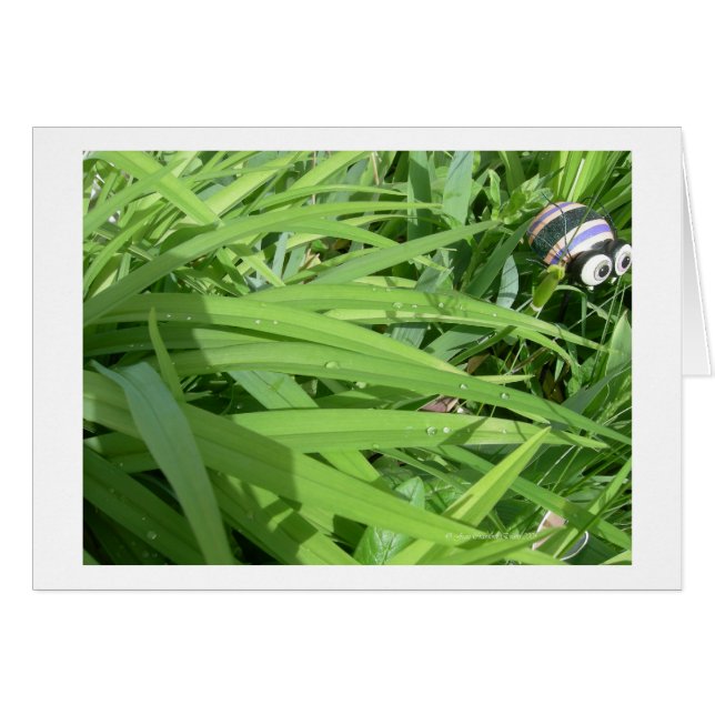 Cartão Porco da manhã (Frente Horizontal)