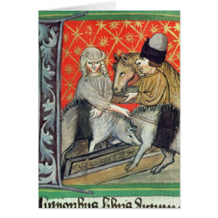 Cartão Porcos e cavalos da criação de animais