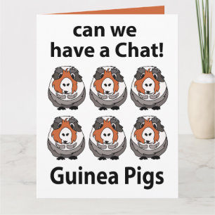 Cartão Porquinhos-da-índia Podemos Ter Uma Conversa Porqu