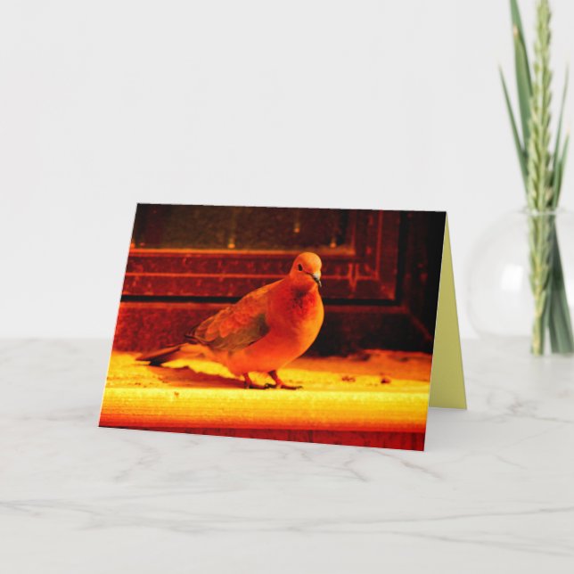 Cartão Porta bonito (Frente)