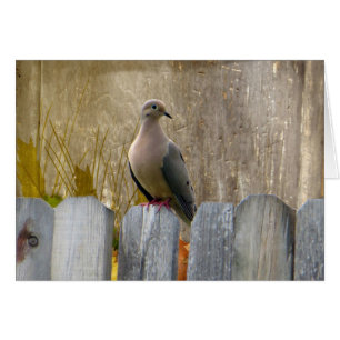 Cartão Porta de amor personalizável